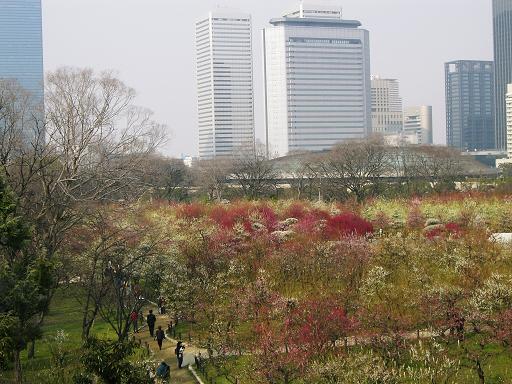 高台から梅園