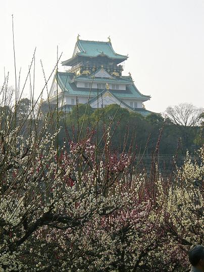 梅と大阪城１