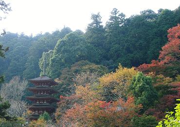 長谷寺