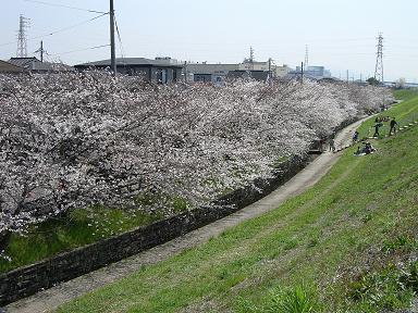 芥川　１