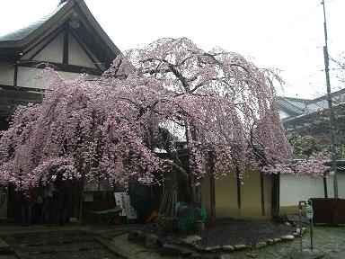 氷室神社１