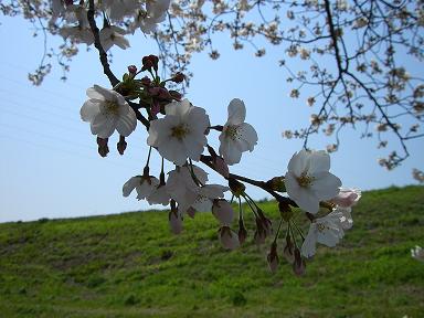 芥川　２