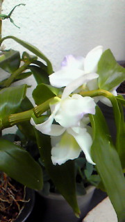 2011-05-24 19:23:01