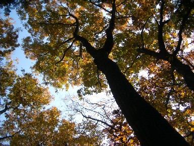 CIMG0013.JPG