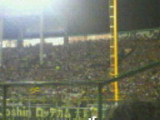 甲子園jpg