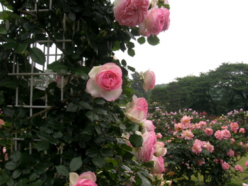 DSCN1837.jpg