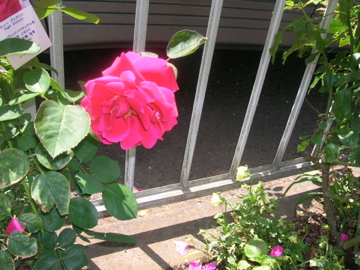 DSCN1896.jpg