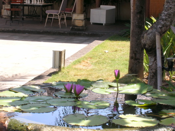 DSCN2109.jpg