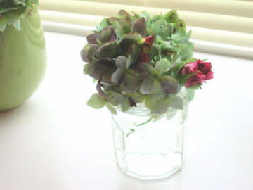 DSCN3353.jpg