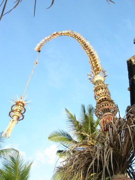 DSCN2176.jpg