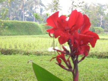 DSCN2228.jpg