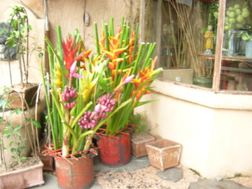 DSCN2247.jpg
