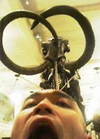 MONHmanmoth