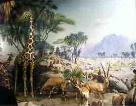 MONHafrica