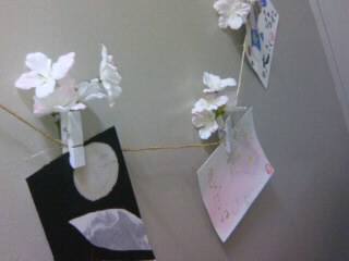 070513_0010~01.JPG