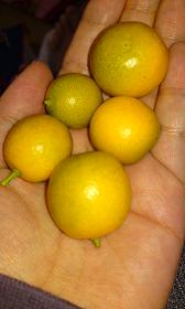 100127_1439~01.jpg