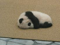 画像 158.JPG