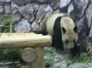 画像 159.JPG