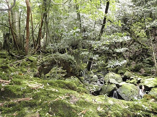 P4260094.jpg