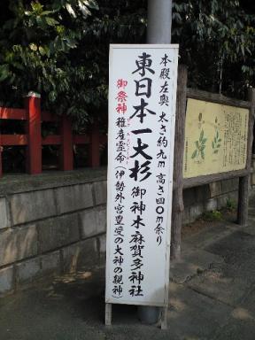 makata5