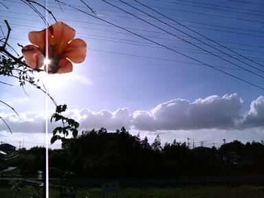 9月15日16:22