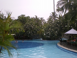 IMGP1494.jpg