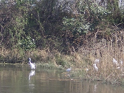 IMGP1847_edited.jpg