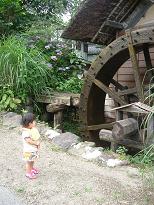 鹿火屋３.JPG