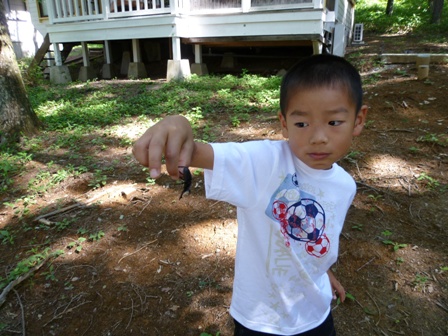 20110812-5 クワガタちょっと怖いっ..JPG