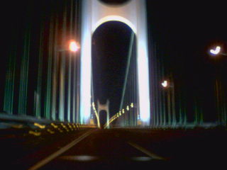 紫遭2_20060322205012.jpg