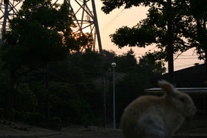 夜明けうた