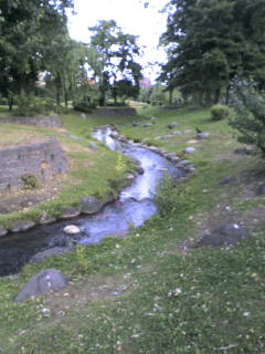 20060801180212.jpg