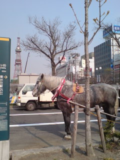 札幌