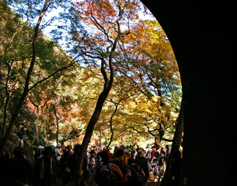 トンネル内から
