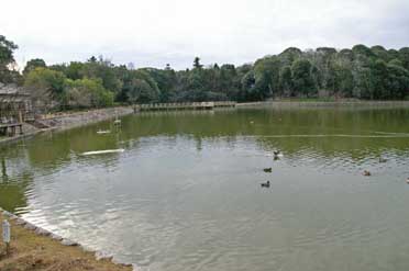 この池で