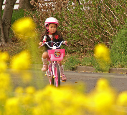 自転車乗れます