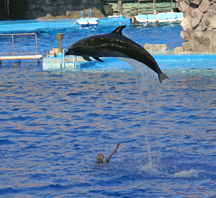 ジャンプ