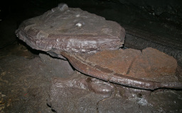 万丈窟 ヘビの頭