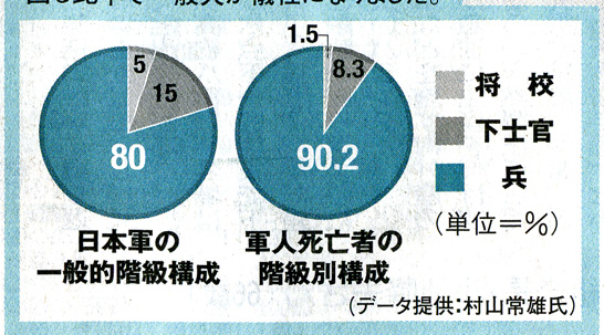 階級別犠牲者比率