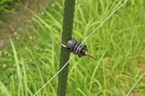 結び
