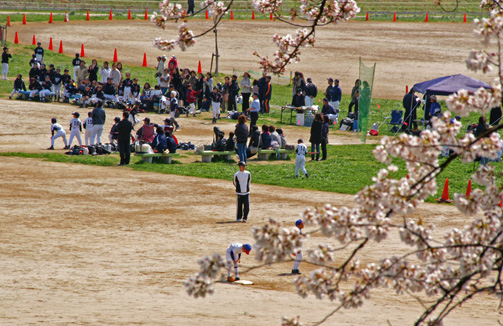 花の下で　リトルが