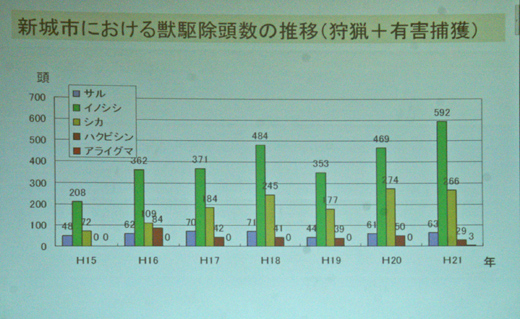 新城市の捕獲数