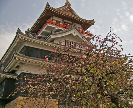 桜と天守閣