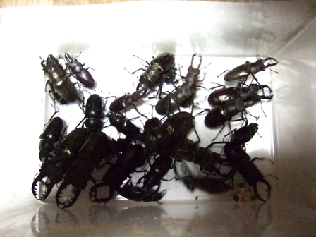 2011_0723wert0007.jpg