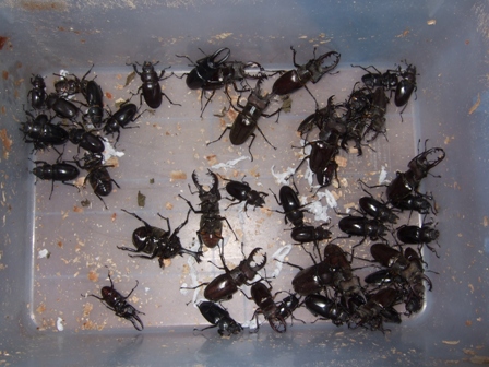 2011_0801wert0026.jpg