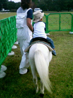 昭和記念公園内、白馬にまたがる我一族の王子様後姿