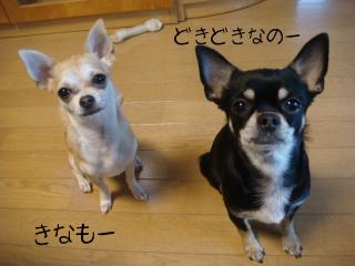 DSC07660.JPG