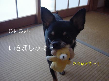 DSC03812.JPG