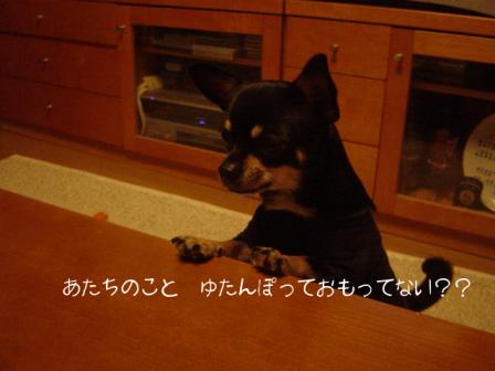 2007-10-17 00:42:21