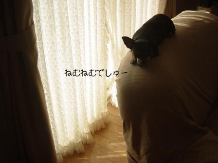 2007-08-16 22:31:57